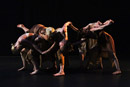 Studio an der Wien, Dance