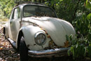 VW Käfer, Oldtimer, VW Beetle, old Car
