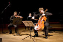 ORF RadioKulturhaus, Concert, Trio