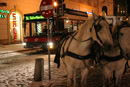 Vienna, Winter, snow