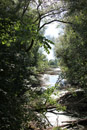 Nature Photography