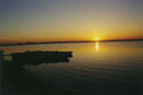 Nature Photography, Neusiedler See, Abend