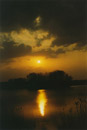 Nature Photography, Neusiedler See, Evening