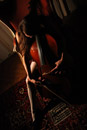 Stefanie Troehler, Cellist, Musician
