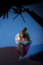 Stefanie Troehler, Puppets, dolls, Off-Theater